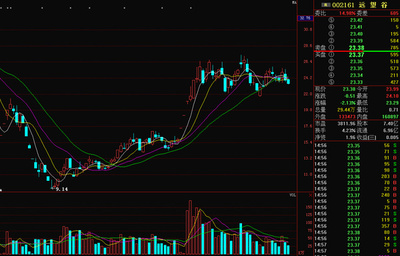 精准解析远望谷 兴办实业的战略与前景